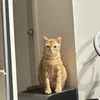 กต