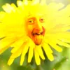 psich0o