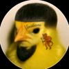armando.de.jesus473
