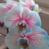 7bloom_7