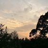 ignacia_1403i
