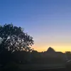 ambxrosbo