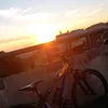 franci_in_play