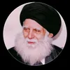 dfsgw8313