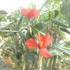 user8547099178379