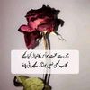hadi.malik772