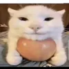 redheavygurt