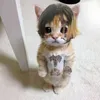 angelburnt