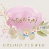 orchid_flower70