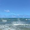oceanlover113