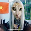 benchim10