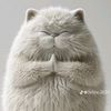 amina_hkd8di
