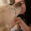 iloveadriannelenker2much