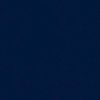 bluuniverstt