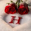 hagar.mosa2