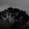 0dark_vibes123
