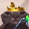 alexfn11_