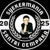 wildanpp3
