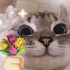 inisial_r_54