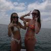 camdyns.spam16