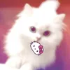 meonee212_