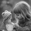 amal.12728