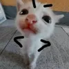 thwcat__