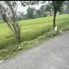 mnhen91