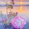 user417516606