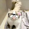 pkotabumi