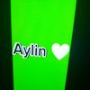aylintagizade303