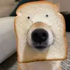 _anhthu100_