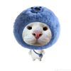 qisthy_123