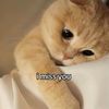 truong hay suy
