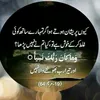 shaheen.of.iqbal.8