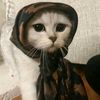 gust_gilr_123