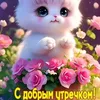 user135572827