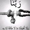 user7799630813883