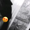 koloud_1