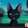 blackcat_119