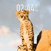 alijan05349