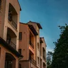 alex_frei10