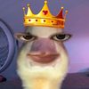 altheagarrido4