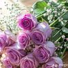 may.amarr4
