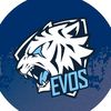 evosesports777