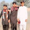 shan.78667