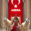 melek.010132