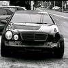 trlan_2014