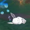 ZXDD?