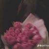 parinaz_13_2025